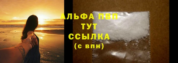 прущие грибы Арсеньев