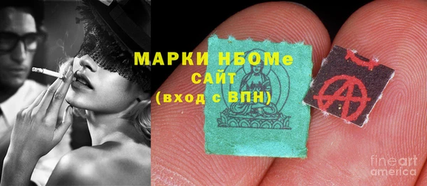 прущие грибы Арсеньев