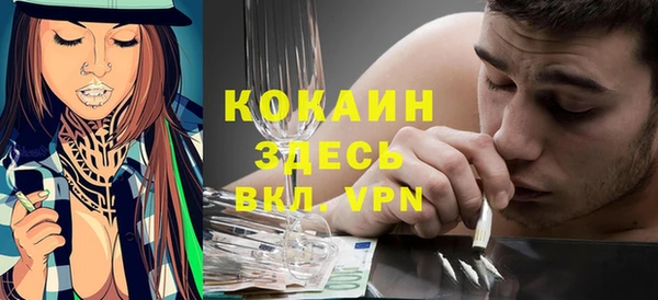 прущие грибы Арсеньев