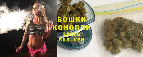 прущие грибы Арсеньев