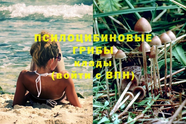 MDMA Premium VHQ Аркадак