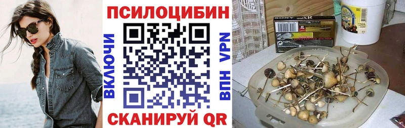Купить где  Усть-Джегута  Псилоцибиновые грибы Magic Shrooms 