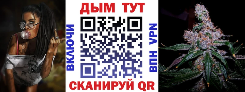 Купить Усть-Джегута Каннабис сатива